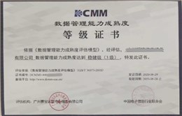 DCMM数据管理能力成熟度评估