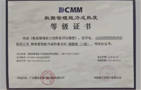 DCMM数据管理能力成熟度评估服务